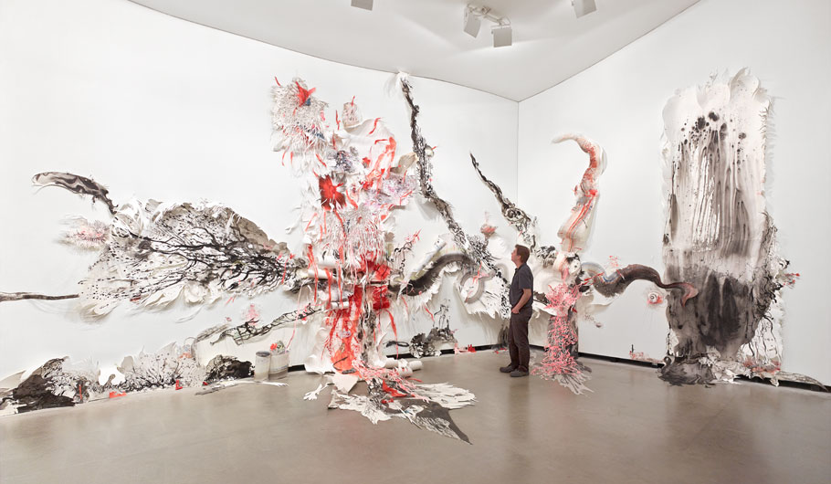 Katarakt Nadja Schöllhammer