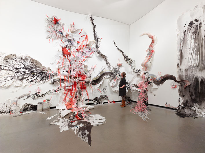 Katarakt Nadja Schöllhammer