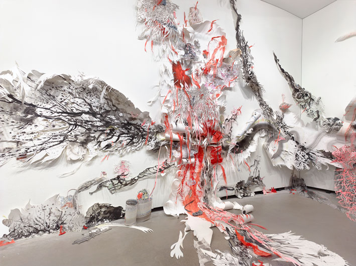 Katarakt Nadja Schöllhammer