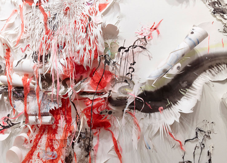 Katarakt Nadja Schöllhammer