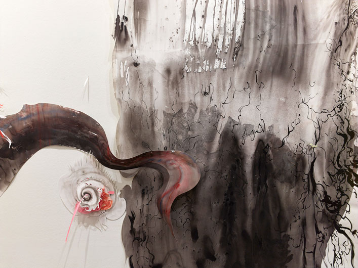 Katarakt Nadja Schöllhammer