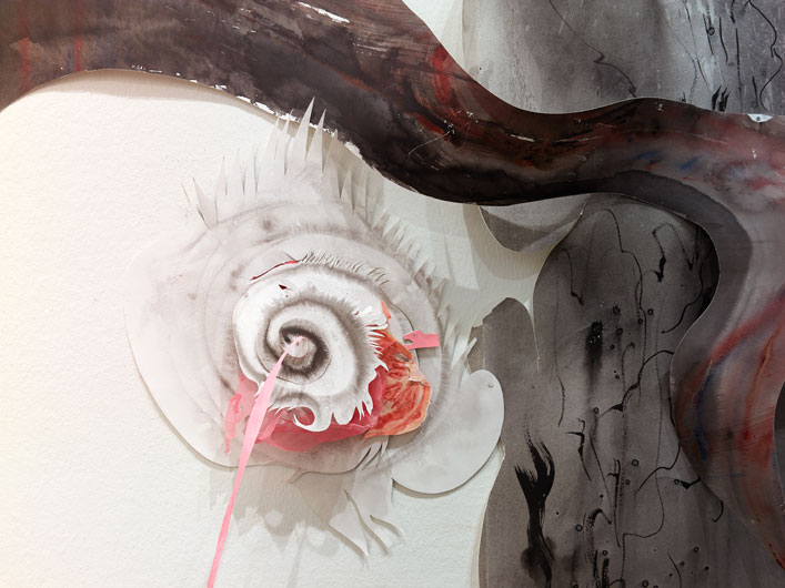 Katarakt Nadja Schöllhammer