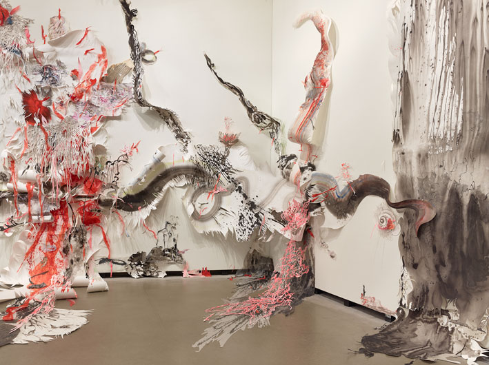 Katarakt Nadja Schöllhammer