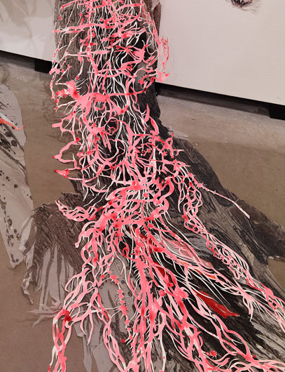 Katarakt Nadja Schöllhammer