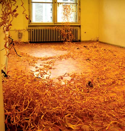 Sekretariat 01 Nadja Schöllhammer