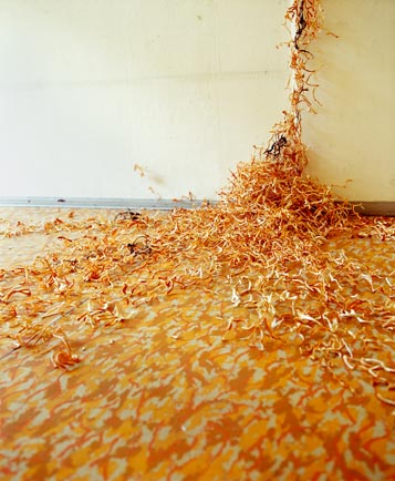 Sekretariat 03 Nadja Schöllhammer