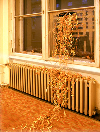 Sekretariat 04 Nadja Schöllhammer