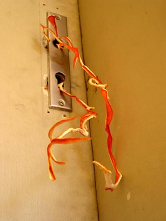 Sekretariat 05 Nadja Schöllhammer