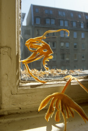 Sekretariat 08 Nadja Schöllhammer