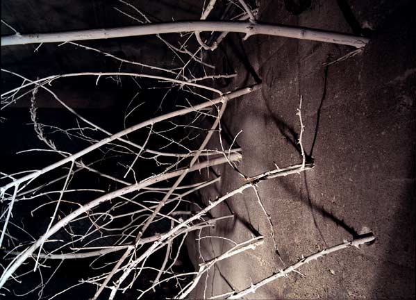 Stigmata Spa 04 Nadja Schöllhammer